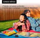 ALTAVOZ SONY SRSXB100H BLUETOOTH GRIS