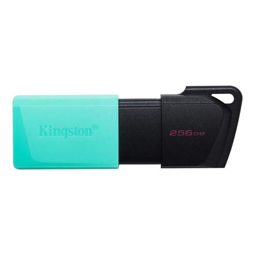 Memoria USB Kingston 256 GB