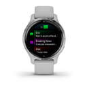 SMARTWATCH GARMIN VENU 2S 010-02429-12 GRIS PLATA