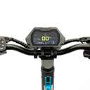 PATIN ELECTRICO SMARTGYRO DUAL MAX 2 2X500W