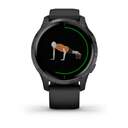 SMARTWATCH GARMIN VENU BLACK/SLATE 010-02173-12