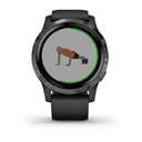 SMARTWATCH GARMIN VIVOACTIVE 4 BLCK/S 010-02174-12