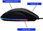 RATON NEWSKILL HABROK