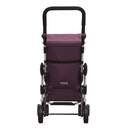 CARRO-COMPRA PLAY GO UP 2 4GIR MERLOT 24910C 289