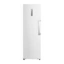 CONG.VER HISENSE FT3K310SEWE1 186x60 312L BCO