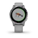 SMARTWATCH GARMIN VIVOACTIVE 4S GRY/S 010-02172-02
