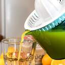 EXPRIM. CECOTEC ZITRUS EASY BASIC 04068 40W 1L CU