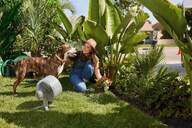 VENTILADOR PIE SHARK FA220EU BATERIA NEBULIZA 2 AL