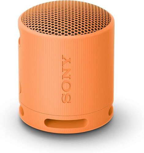 Altavoz Sony SRSXB100D