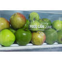 FRI. HOTPOINT SH81QXRFD1 187x60 1P CICLICO INOX