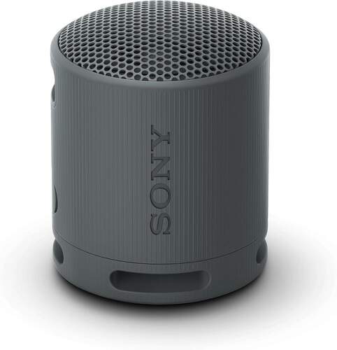 Altavoz Sony SRSXB100B