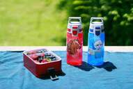 BOTELLA SIGG VIVA ONE ELSA II 0.5 L