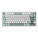 TECLADO ROYAL KLUDGE RK50 TKL 75% SILVER SPEED RGB