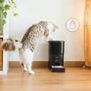 COMEDERO CECOTEC MASCOTAS 09565 WIFI 6L CTRL.PORC