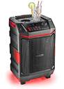 ALTAVOZ NGS WILDBASH 300W BT IPX6 NEGRA