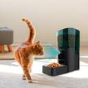COMEDERO CECOTEC MASCOTAS PUMBA 6000 09566 WIFI
