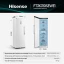 CONG.VER HISENSE FT3K310SEWE1 186x60 312L BCO