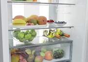 FRICOM. HOOVER HONBQT5519DW 193x54 NF INTEG