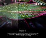 TV GENIUM 65%%%quot; GTV65QLED QLED WEBOS