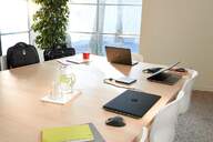 RATON HP Z5000 WIRELESS SILVER