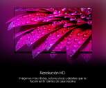 TV GENIUM 24%%%quot; GTV24HD HD WEBOS