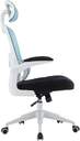 SILLA DE OFICINA WOXTER ERGO BLUE  