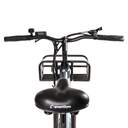 BICICLETA ELECTRICA SMARTGYRO SUNSET TITANIUM