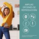 CADENA PANASONIC SCPM700EGS 80W CD/FM/USB/BT