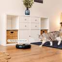 COMEDERO CECOTEC MASCOTAS 09562 COMIDA AUT 1,6L
