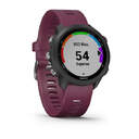 SMARTWATCH GARMIN FORERUNNER 245 010-02120-11 CERE