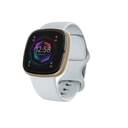 SMARTWATCH FITBIT SENSE 2 FB521GLBM BLUE MIST/SOFT