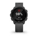 SMARTWATCH GARMIN FORERUNNER 245 010-02120-10 GRIS