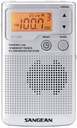 RADIO BOLSILLO SANGEAN DT-250 PLATA FM/AM