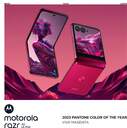 SMARTPHONE MOTOROLA RAZR 40 ULTRA 8/256 6,9%%%quot; MAGEN