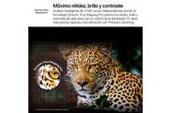 TV LG 65%%%quot; 65QNED92A6A UHD QNED EVO MINILED ALFA8