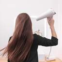 SECADOR CECOTEC BAMBA IONCARE 5320 04240