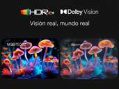 TV METZ 55%%%quot; 55MQD7500Z UHD QLED GOOGLETV DOLBYATMO