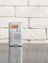 RADIO BOLSILLO SANGEAN DT-250 PLATA FM/AM