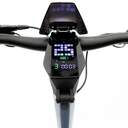 PATIN ELECTRICO SMARTGYRO RAPTOR DUAL EVO 2X500W