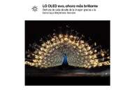 TV LG 65%%%quot; 65C64LA UHD OLED EVO A11 165HZ WEBOS26