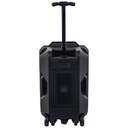 ALTAVOZ DENVER TSP-120 TROLLEY