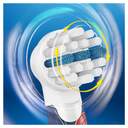 ACC. ORALB EB-10-4 FFS SPIDERMAN