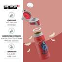 BOTELLA SIGG WMB ONE BATMAN STANDING 0.6 L