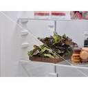 FRICOM. AEG ORC6N361DW 202x60 NF BLANCO