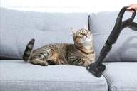 ASPI. TRINEO HOOVER HP730ALG S/B ALLERGY 850W 68dB