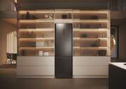FRICOM. HAIER HDPW5620ANPD 205x60 NF INOX