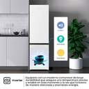 FRICOM. HISENSE RB440N4AWC 202x60x58 NF BCO