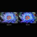TV XIAOMI 65%%%quot; S MINILED 2025 UHD GOOGLETV 144HZ