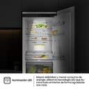 FRICOM. HISENSE RB3B250SAWE 177x54x55 NF INT