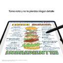 TABLET SAMSUNG TAB S9 ULTRA X910 12/256 14,6%%%quot; GRAY